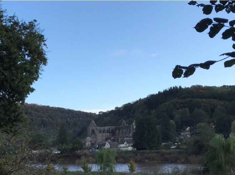 Woodmill Farm Cottage Alvington المظهر الخارجي الصورة