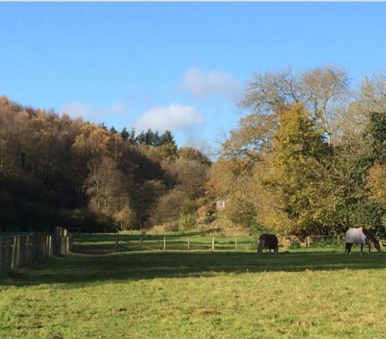 Woodmill Farm Cottage Alvington المظهر الخارجي الصورة
