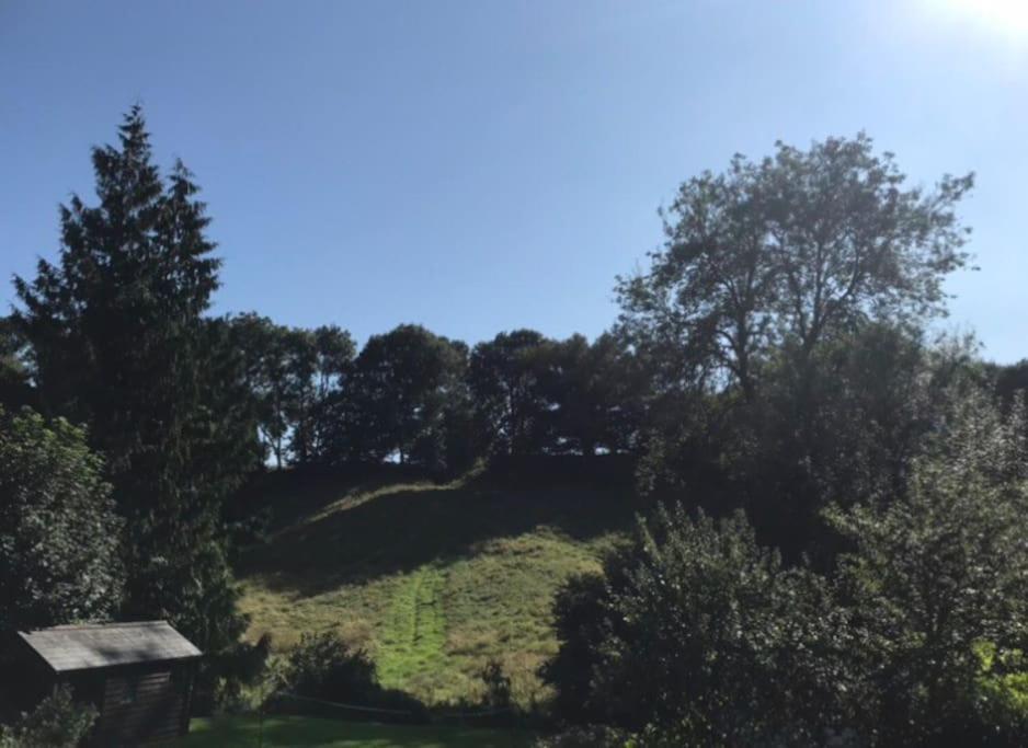 Woodmill Farm Cottage Alvington المظهر الخارجي الصورة