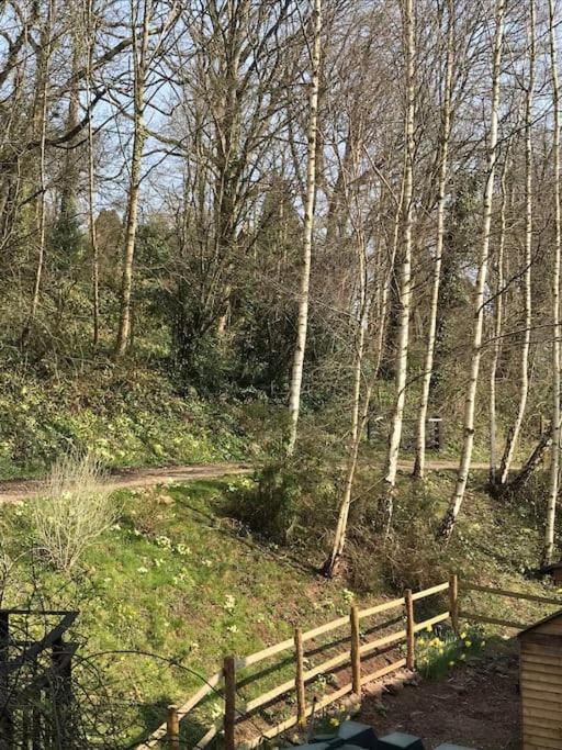 Woodmill Farm Cottage Alvington المظهر الخارجي الصورة