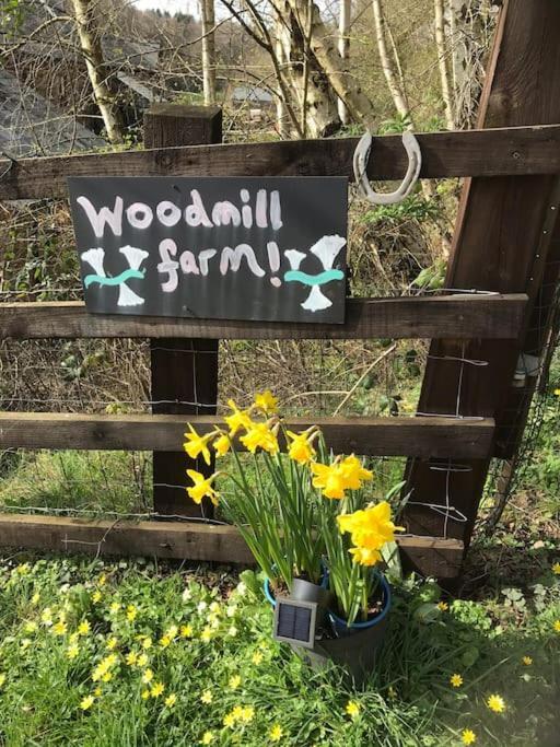 Woodmill Farm Cottage Alvington المظهر الخارجي الصورة